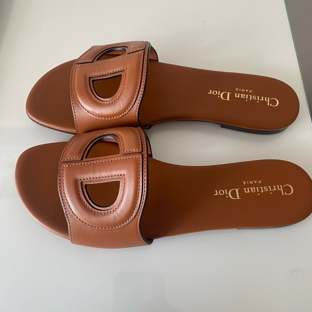 Christian Dior DClub slides